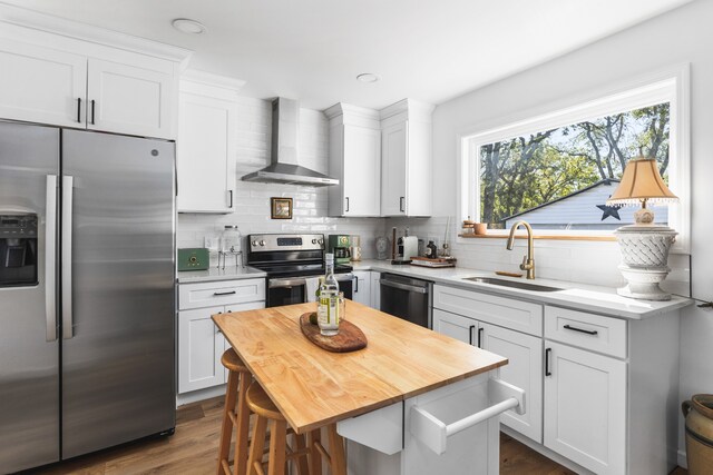 kitchen featuring wall chimney exhaust hood, stainless steel appliances, a healthy amount of sunlight, and sink