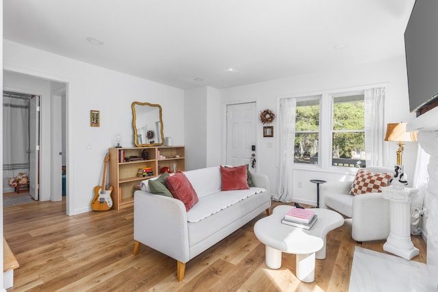 living room with light wood-type flooring