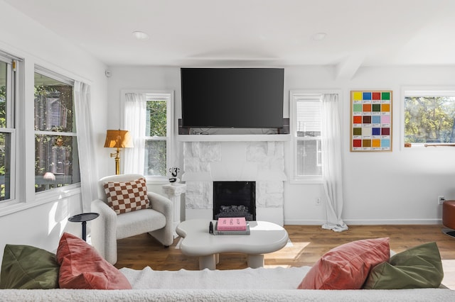 living room featuring wood-type flooring and a stone fireplace