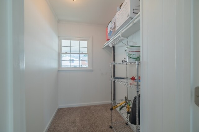 interior space featuring carpet flooring