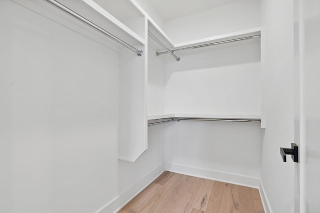 spacious closet with light hardwood / wood-style flooring