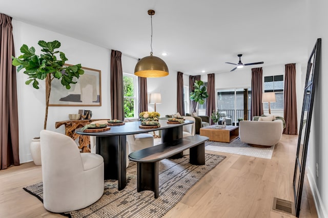 dining area featuring ceiling fan and light hardwood / wood-style floors