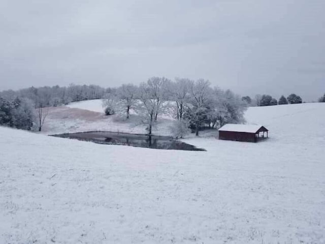 view of yard covered in snow