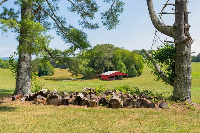 view of yard with a rural view