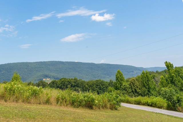 property view of mountains