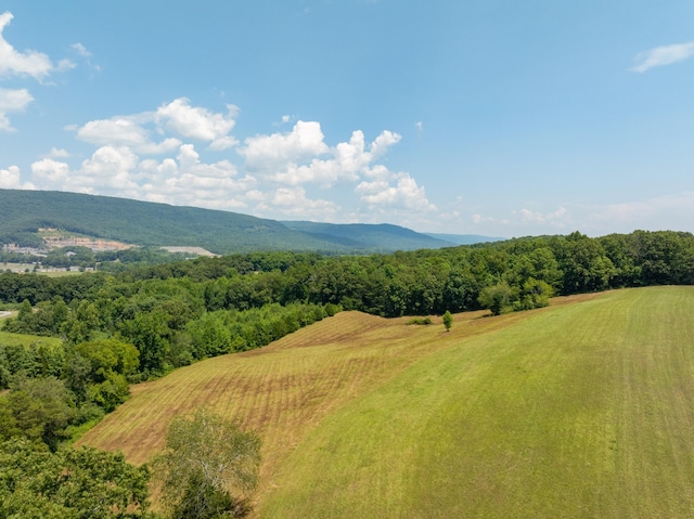 property view of mountains