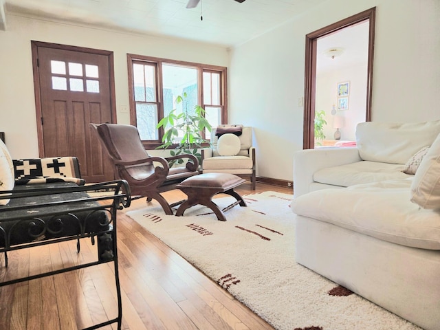 living room with ceiling fan and light hardwood / wood-style flooring