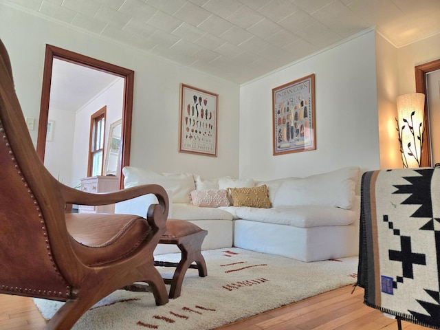 living room featuring crown molding and light wood-type flooring