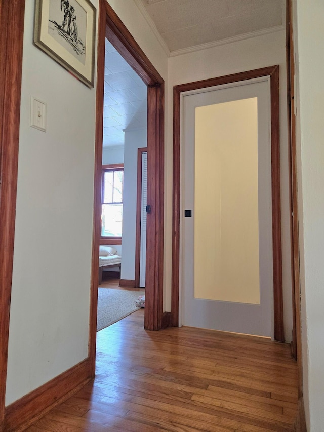 hall featuring ornamental molding and light hardwood / wood-style flooring