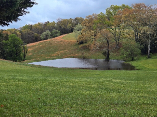 919 John Burch Rd, Dunlap, TN 37327 - view of yard with a water view and a forest view