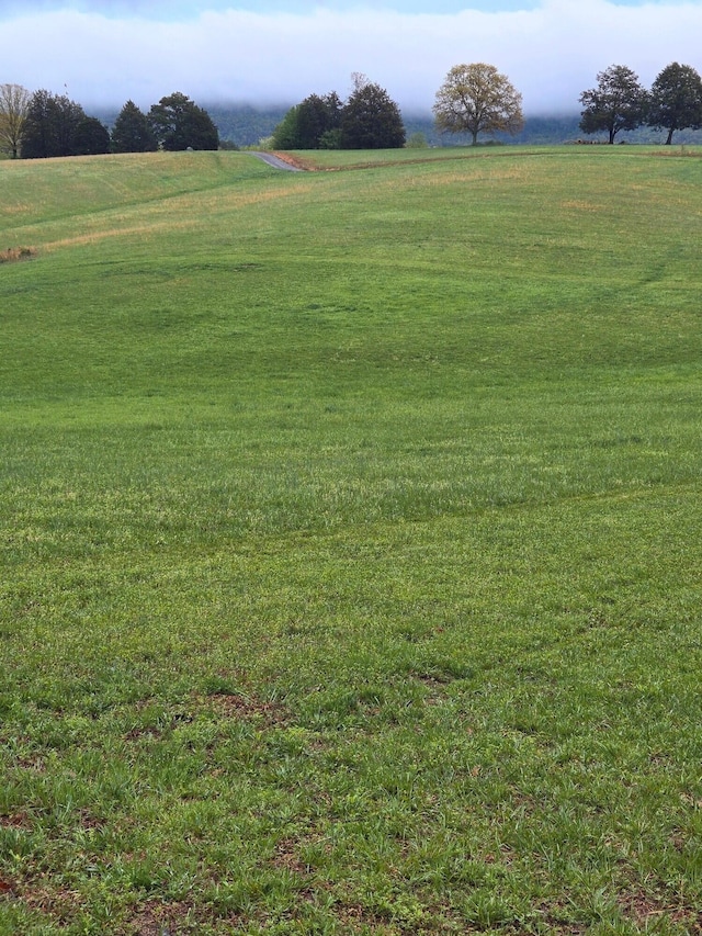 919 John Burch Rd, Dunlap, TN 37327 - view of yard featuring a rural view