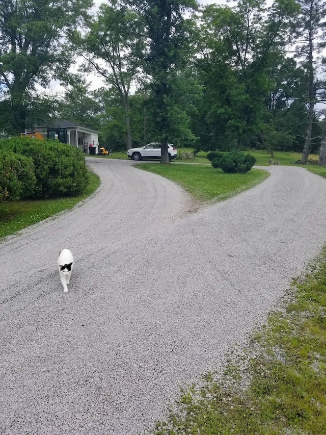 919 John Burch Rd, Dunlap, TN 37327 - view of street featuring gravel driveway