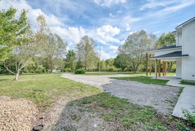 view of yard featuring a patio area