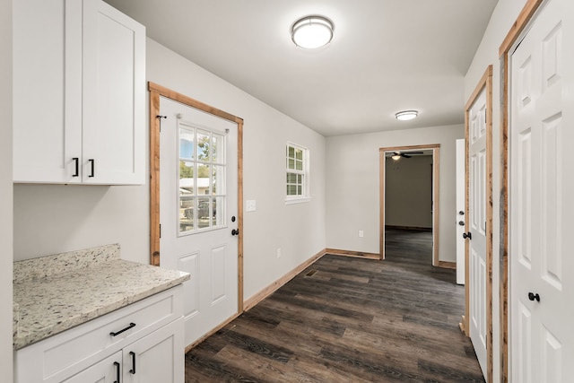 doorway to outside with dark wood-type flooring and ceiling fan