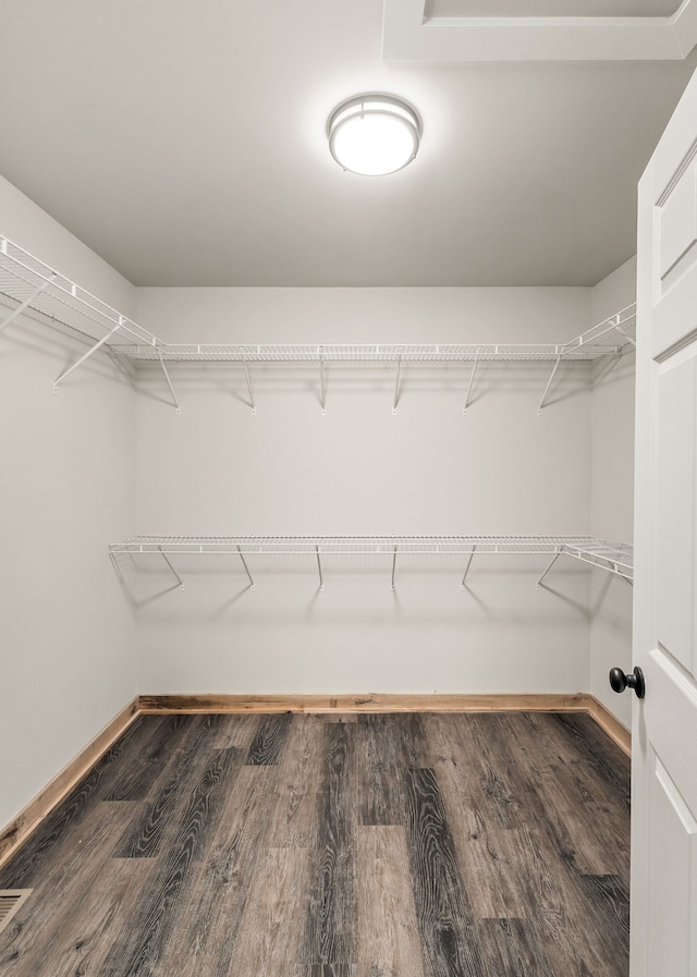 walk in closet with dark hardwood / wood-style flooring