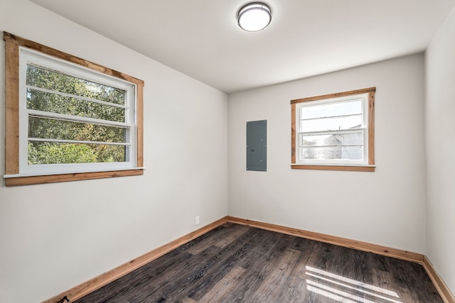 spare room featuring electric panel, a wealth of natural light, and dark hardwood / wood-style flooring