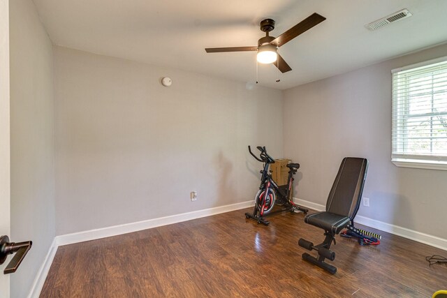 workout area featuring dark hardwood / wood-style flooring and ceiling fan