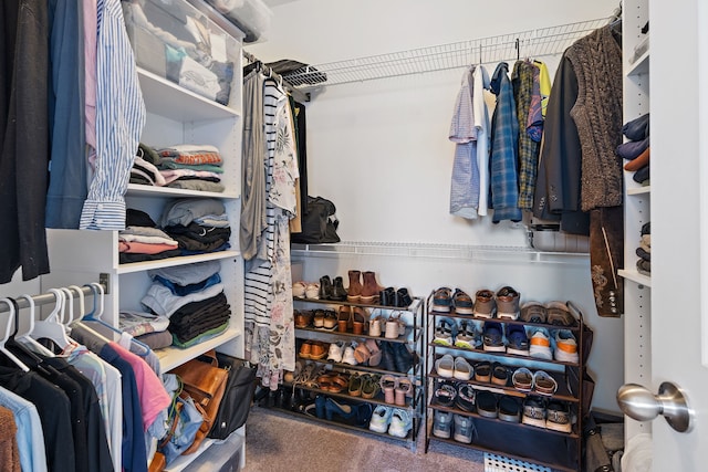 spacious closet with carpet floors