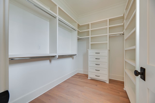 spacious closet featuring light hardwood / wood-style flooring