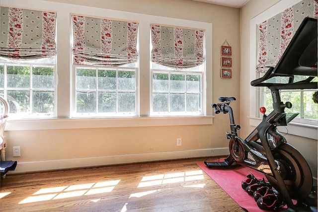 exercise area featuring wood-type flooring