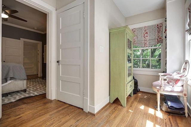 interior space with wood-type flooring, crown molding, and ceiling fan