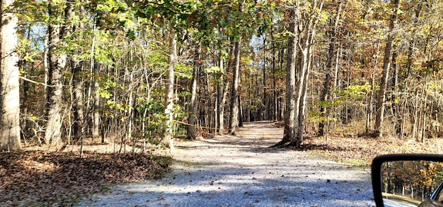 view of nature