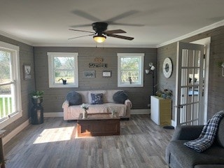 living room with ceiling fan and a wealth of natural light