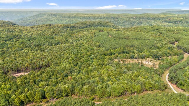 0 Browns Trace Rd, South Pittsburg, TN 37380 - photo 4