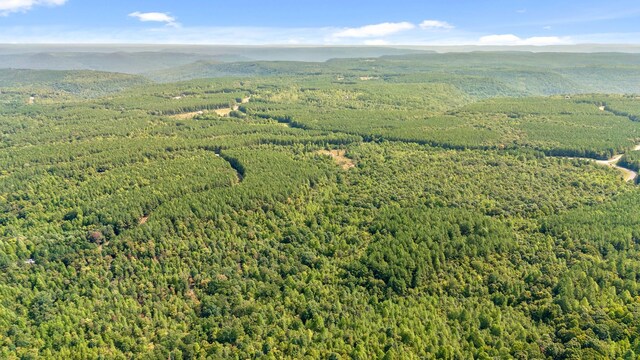 0 Browns Trace Rd, South Pittsburg, TN 37380 - photo 9