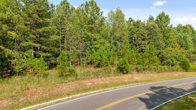 0 Browns Trace Rd, South Pittsburg, TN 37380 - photo 2