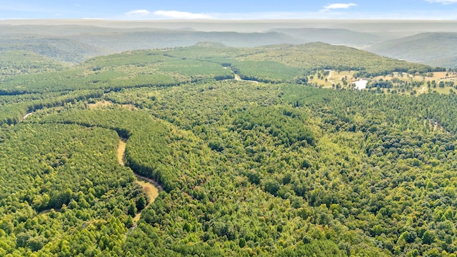 0 Browns Trace Rd, South Pittsburg, TN 37380 - photo 8