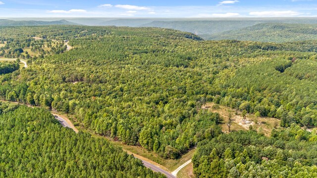 0 Browns Trace Rd, South Pittsburg, TN 37380 - photo 5