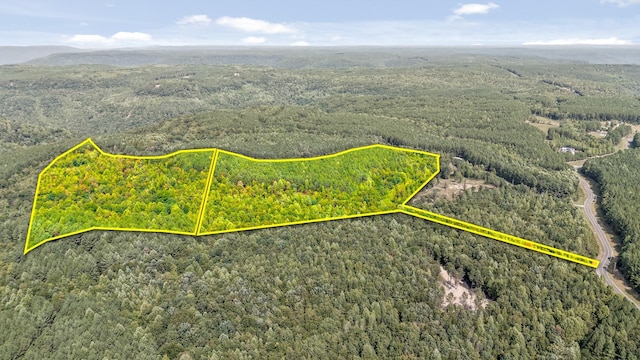0 Browns Trace Rd, South Pittsburg, TN 37380 - photo 1