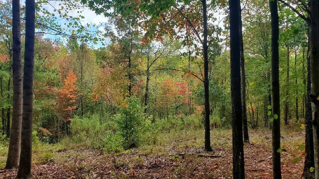 0 Browns Trace Rd, South Pittsburg, TN 37380 - photo 19