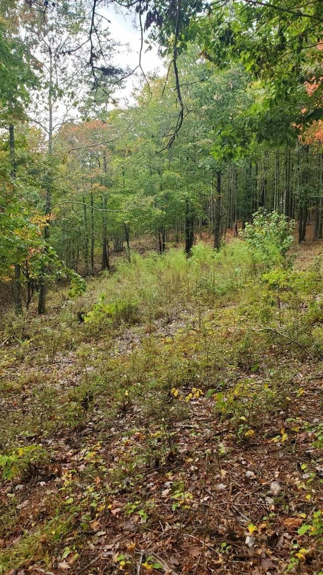 0 Browns Trace Rd, South Pittsburg, TN 37380 - photo 20
