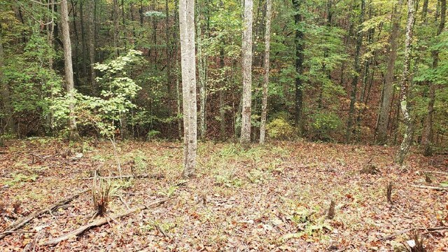 0 Browns Trace Rd, South Pittsburg, TN 37380 - photo 14
