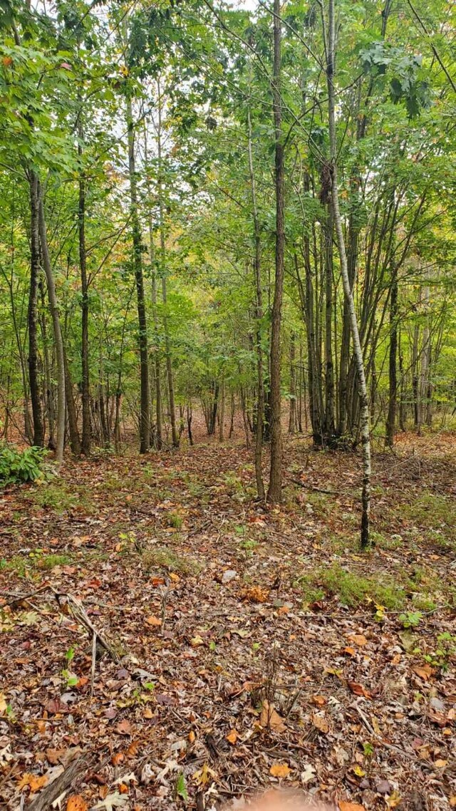 0 Browns Trace Rd, South Pittsburg, TN 37380 - photo 16