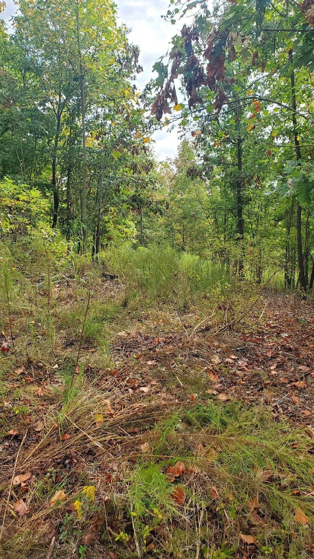 0 Browns Trace Rd, South Pittsburg, TN 37380 - photo 18