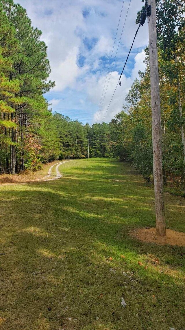 0 Browns Trace Rd, South Pittsburg, TN 37380 - photo 11