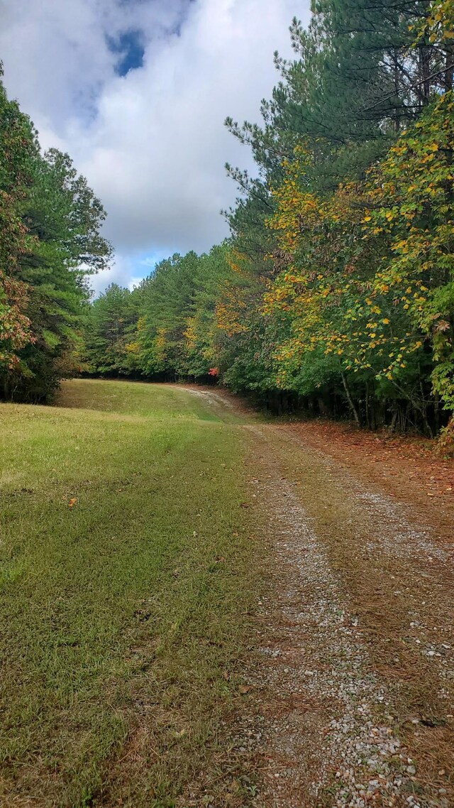 0 Browns Trace Rd, South Pittsburg, TN 37380 - photo 12