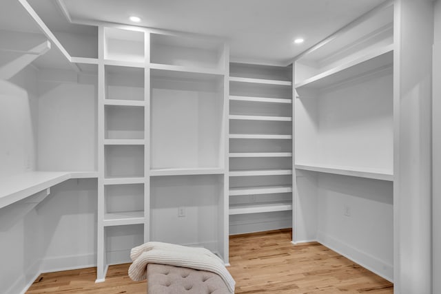 spacious closet with wood-type flooring