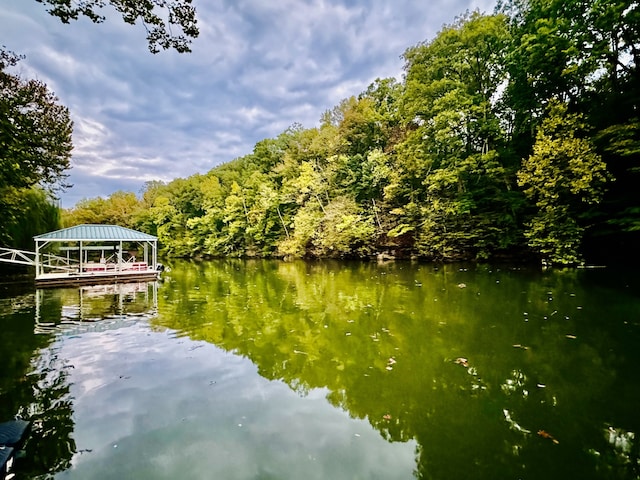 property view of water