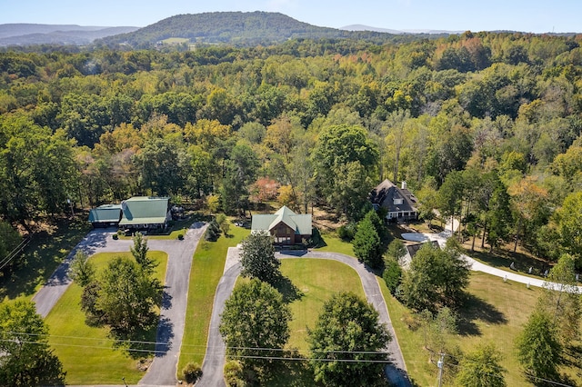 aerial view featuring a mountain view