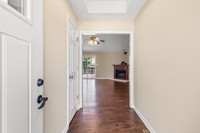 hallway featuring dark hardwood / wood-style floors