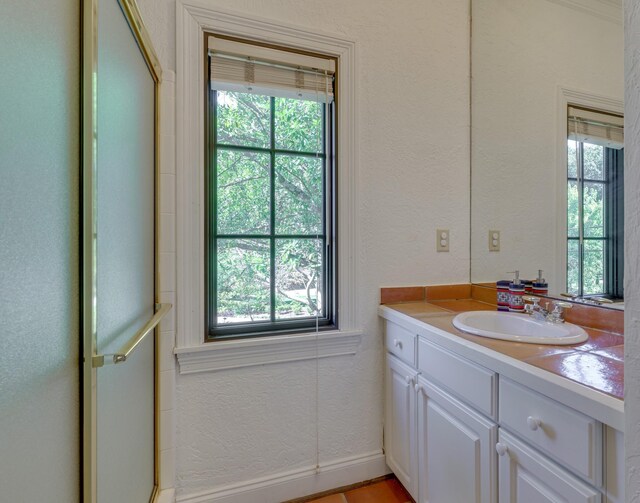 bathroom featuring vanity and a wealth of natural light