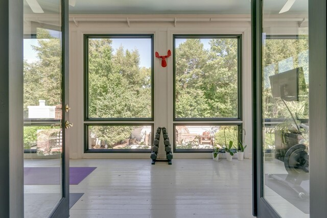 entryway with wood-type flooring, ceiling fan, and a wealth of natural light