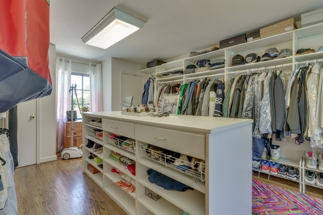 spacious closet featuring light hardwood / wood-style flooring