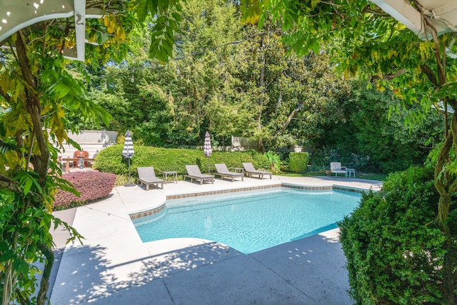 view of pool with a patio