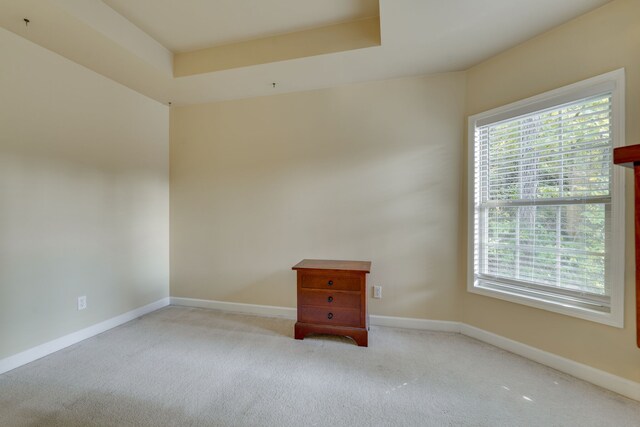 carpeted empty room featuring a tray ceiling