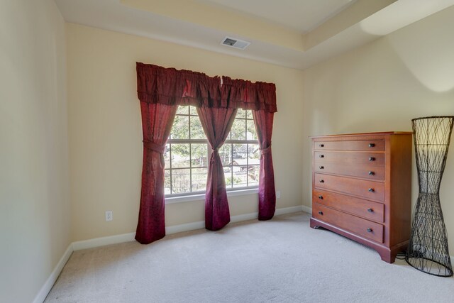 interior space with a raised ceiling and light colored carpet